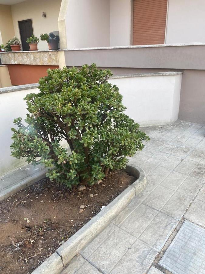 Hotel Giardino Massari Lecce Exterior foto